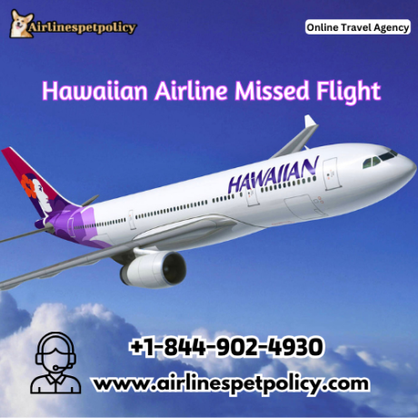 what-are-my-options-if-i-miss-a-hawaiian-airlines-flight-big-0