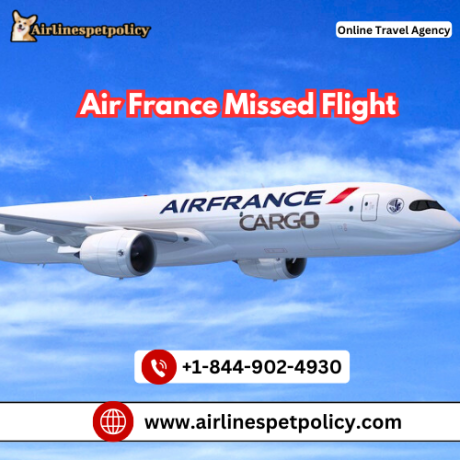 what-should-i-do-if-i-missed-my-air-france-flight-big-0