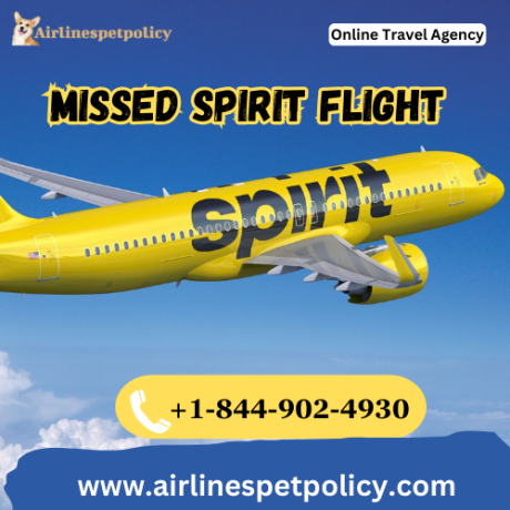 how-can-i-rebook-online-if-i-miss-my-spirit-airlines-flight-big-0