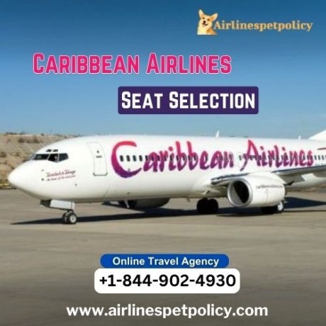 how-to-make-seat-selection-on-caribbean-airlines-big-0