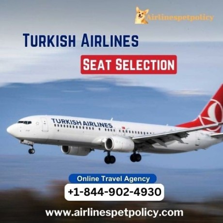 how-to-make-seat-selection-on-turkish-airlines-big-0