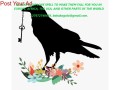 27672740459-black-magic-love-spells-to-make-them-fall-for-you-by-baba-kagolo-small-0