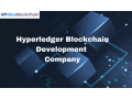 hyperledger-blockchain-development-company-small-0