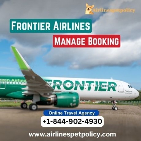 how-to-manage-booking-on-frontier-airlines-big-0