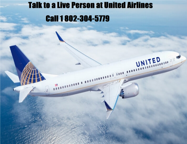 how-do-i-talk-to-a-live-person-at-united-airlines-big-0