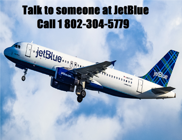 how-do-i-talk-to-a-live-person-at-jetblue-big-0