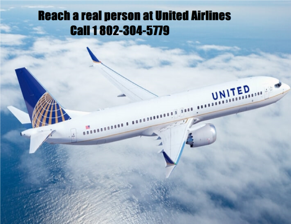 how-do-i-reach-a-real-person-at-united-airlines-for-help-big-0