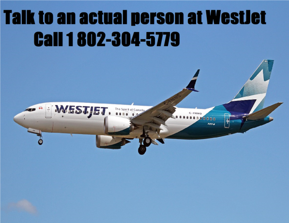 how-do-you-talk-to-an-actual-person-at-westjet-big-0