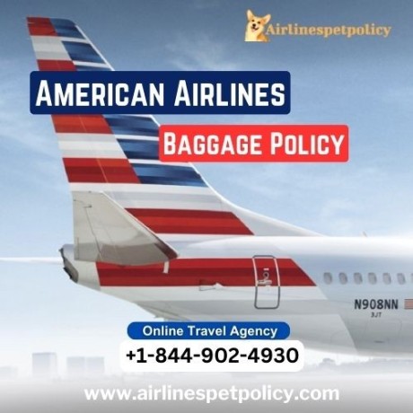 what-is-american-airlines-baggage-policy-big-0
