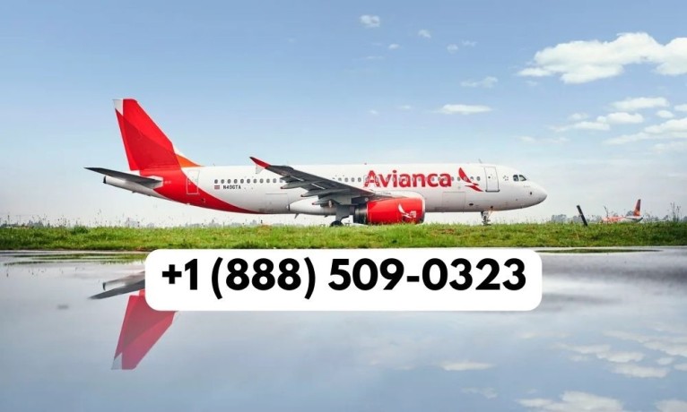 avianca-cancellation-policy-24-hours-how-to-cancel-my-avianca-flight-big-0