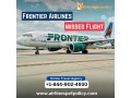 what-to-do-if-i-missed-my-frontier-airlines-flight-small-0
