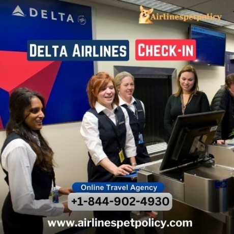 how-to-check-in-for-delta-flight-big-0