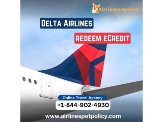 How to Redeem Delta eCredit?