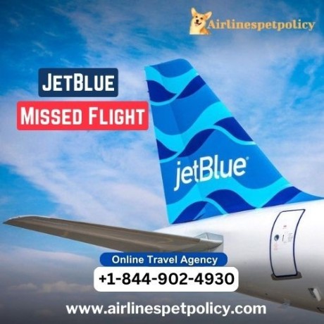 what-happens-if-you-miss-your-jetblue-flight-big-0