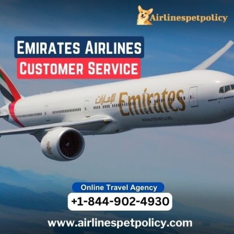 how-do-i-contact-emirates-customer-service-big-0