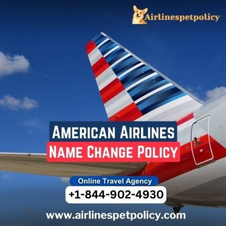 how-to-change-name-on-american-airlines-ticket-big-0