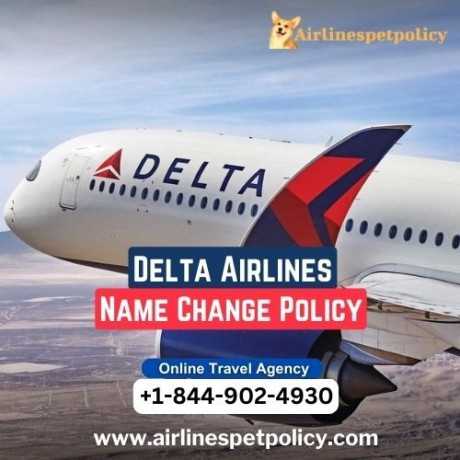 how-to-change-name-on-delta-airlines-ticket-big-0