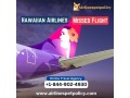 what-happens-if-i-miss-a-hawaiian-airlines-flight-small-0