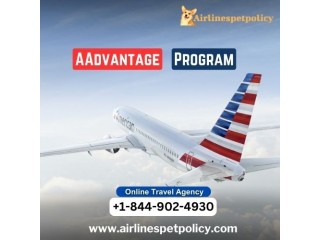 What is the AAdvantage program?