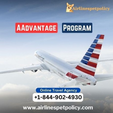 what-is-the-aadvantage-program-big-0