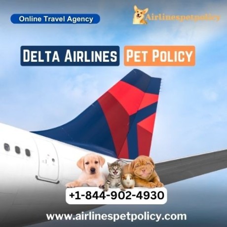 what-is-delta-airlines-pet-policy-big-0