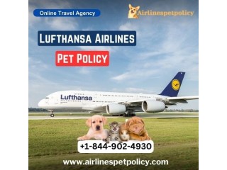How to travel with a pet on Lufthansa Airlines?