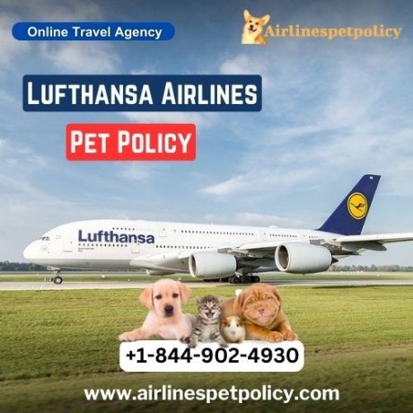 how-to-travel-with-a-pet-on-lufthansa-airlines-big-0