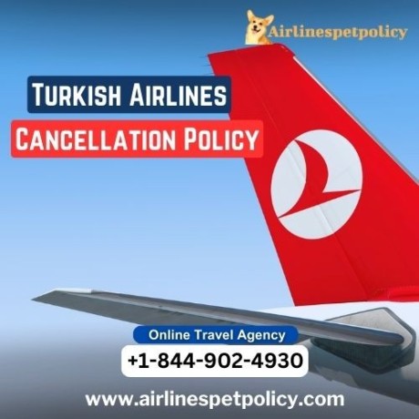 what-is-turkish-airlines-cancellation-policy-big-0