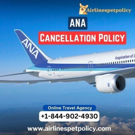 what-is-ana-cancellation-policy-big-0