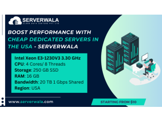 Boost Performance with Cheap Dedicated Servers in the USA - Serverwala