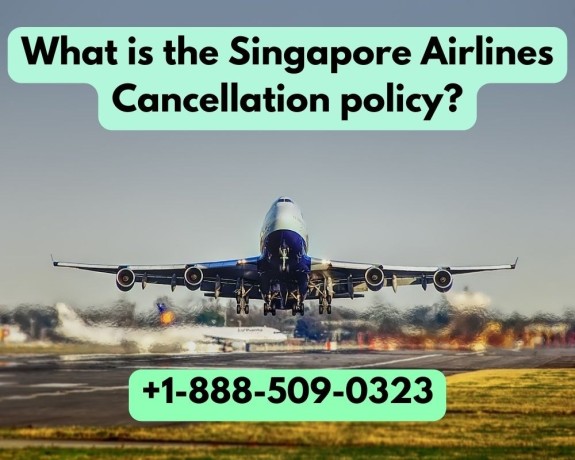 how-much-is-singapore-airlines-flight-cancellation-fee-big-0