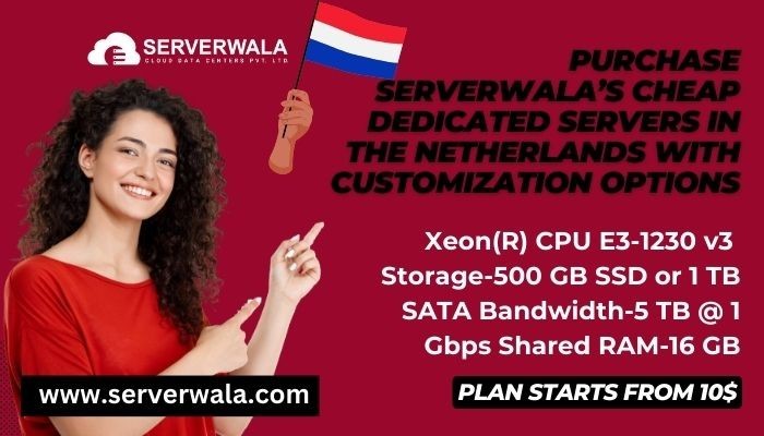 purchase-serverwalas-cheap-dedicated-servers-in-the-netherlands-with-customization-options-big-0