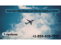 how-can-i-get-cheap-last-minute-flights-to-dallas-small-0