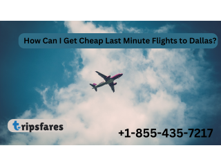 How Can I Get Cheap Last Minute Flights to Dallas?
