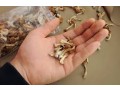 pychedelics-magic-mushrooms-mushroom-capsules-psilocybin-mushroomsdmtlsd-psilocybin-capsules-for-sale-small-0