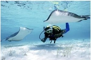 discover-paradise-abaco-yacht-charter-adventures-await-big-0