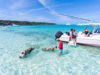 Create a Bespoke and Unforgettable Experience with Bahamas Motor Yacht Charter