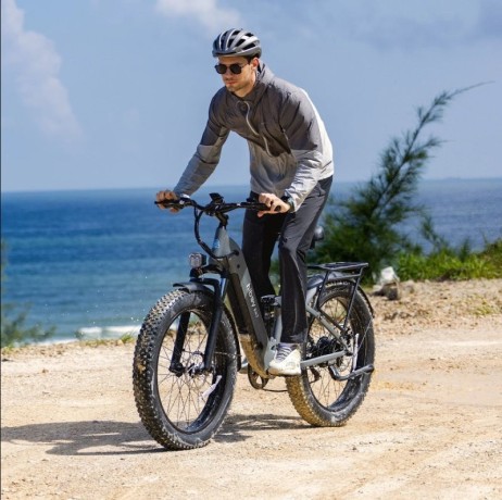 lease-an-ebike-with-zero-commitment-affordable-and-flexible-ebike-leasing-big-1