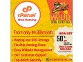 grab-50-off-your-first-cpanel-hosting-purchase-wild-web-hosting-small-0