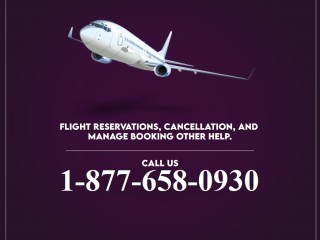 [1]877(658)0930 Does American offer fully refundable tickets?{24*7~Help}