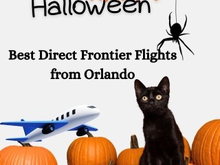 +1 (844) 414-9223 Best Direct Frontier Flights from Orlando on Halloween