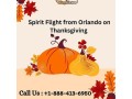 1-888-413-6950-get-best-spirit-flight-from-orlando-on-thanksgiving-small-0