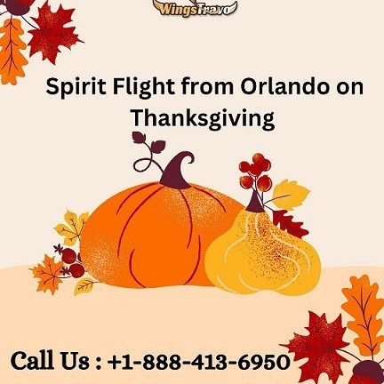 1-888-413-6950-get-best-spirit-flight-from-orlando-on-thanksgiving-big-0