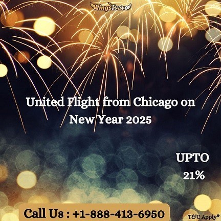 1-888-413-6950-find-best-united-flight-from-chicago-on-new-year-2025-big-0