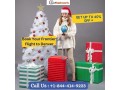 1-844-414-9223-celebrate-christmas-in-denver-frontier-flight-deals-for-a-long-weekend-small-0