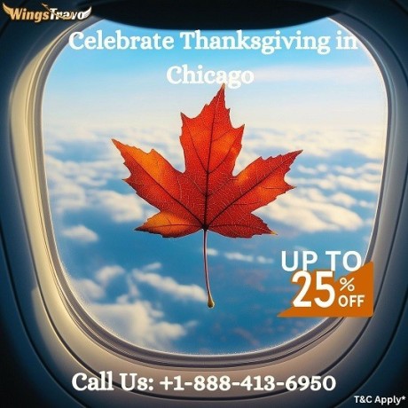 1-844-414-9223-fly-american-airlines-to-miami-for-a-memorable-thanksgiving-big-0