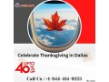 1-844-414-9223-celebrate-thanksgiving-in-dallas-book-direct-american-flights-small-0