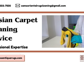 Persian Carpet Cleaning Service: Professional Expertise