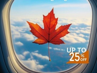 +1-888-413-6950 Lowest Fare Flights from Orlando with Spirit from $58 on Thanksgiving travel