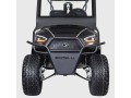 ami-luxury-golf-cart-rentals-small-0